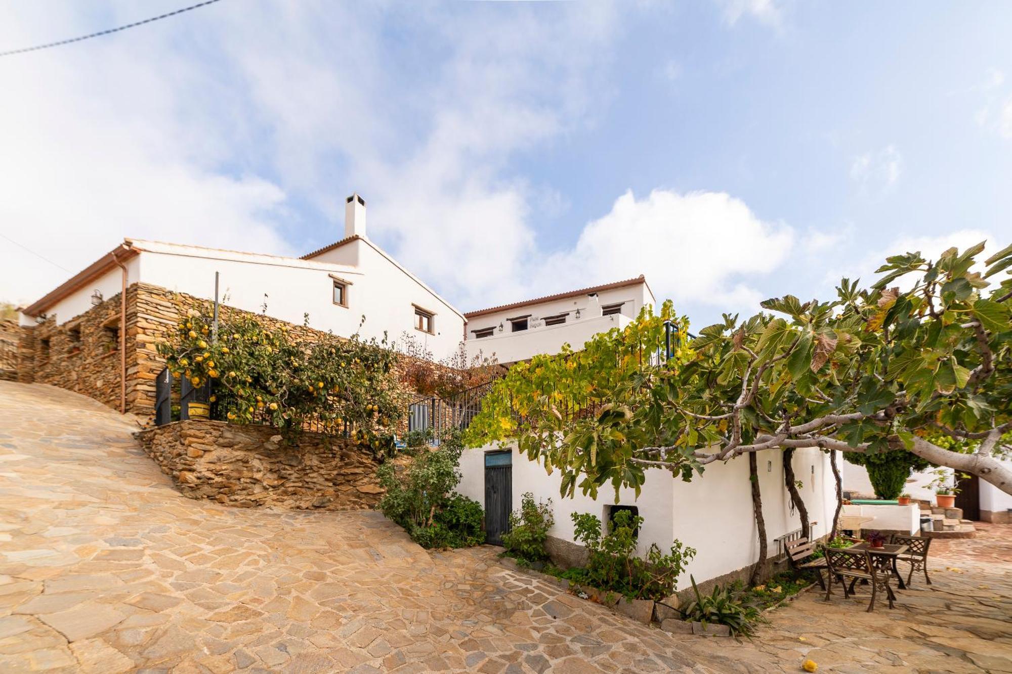 Casa Rural Albaida Laroya Εξωτερικό φωτογραφία